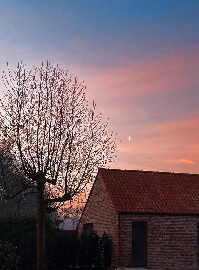 Bloemendale Guesthouse บรูจส์ ภายนอก รูปภาพ